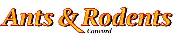 Concord Ant Exterminator & Rodent Control Company Logo